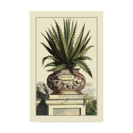Abraham Munting 'Antique Munting Aloe I' Canvas Art,30x47